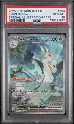 2025 POKEMON BLK EN-BLACK BOLT SPECIAL ILLUSTRATION RARE SERPERIOR EX PSA 10 - Image 1