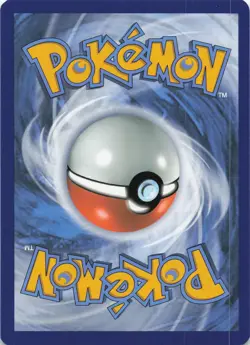 Houndoom V 021/189 Holo V Rare Darkness Ablaze Pokemon Lightly Played - Image 2