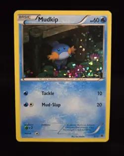 Pokemon TCG - MUDKIP - #5 - CONFETTI HOLO PROMO - MCDONALDS COLLECTION 2015 - LP - Image 1