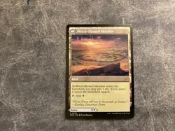 Witch Enchanter Witch-Blessed Meadow MH3 0239 MTG Near Mint Non Foil - Image 2
