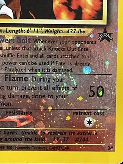 Entei 34/53 Black Star Promo Reverse Holo Pokemon Card HP DMG ಄ Swirl ಄ - Image 3