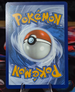Bruxish 200/191 - Illustration Rare- Surging Sparks - Pokemon TCG - NM - Image 2