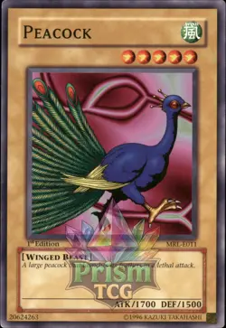 1st Ed Peacock MRL-E011 Yugioh - Image 1