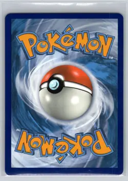 Pikachu V SWSH061 - Pokemon - Sword & Shield Promo - NM - Image 2