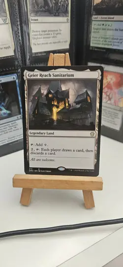 Magic The Gathering Geier Reach Sanitarium 213 MTG Trading Card Regular Rare - Image 1