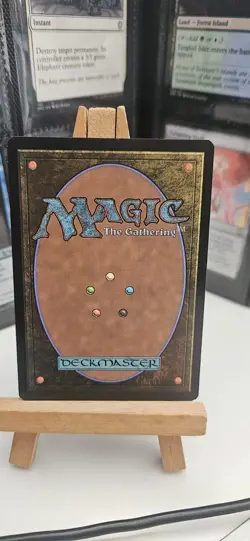 Magic The Gathering Geier Reach Sanitarium 213 MTG Trading Card Regular Rare - Image 2