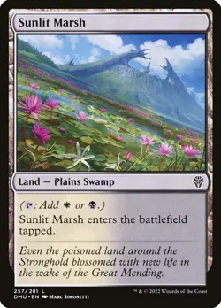 Sunlit Marsh - Image 1