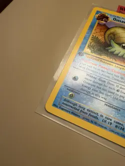Wizards Pokemon TCG Fossil 1st Ed Omanyte Tentacool Horsea EN HP lot (3) - Image 2