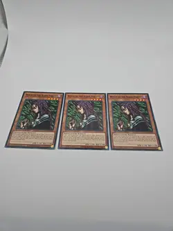 3x Witch of the Black Forest - SDCH-EN016 - NM - 1st Ed - Common - Yugioh - Image 1