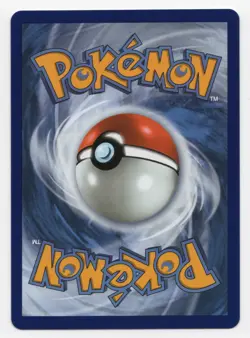 Pokemon TCG Litten 044 First Partner Illustration Black Star Promo - Image 2