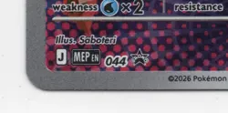 Pokemon TCG Litten 044 First Partner Illustration Black Star Promo - Image 3