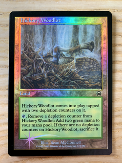MTG Foil Hickory Woodlot EXC Mercadian Masques - Image 1