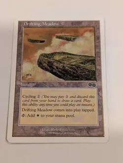 Drifting Meadow - Battle Royale Box Set - Magic the Gathering MTG Nice! - Image 1