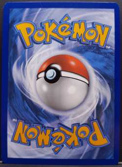 Skelokrok ex 137/182 ParadoxRift Terakristall Pokemon Pokemon Karte Deutsch NM - Image 2