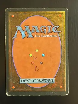 MTG - Toundra Tundra - Revised 3e FBB FR - Played - Fabuen Magic - Image 2