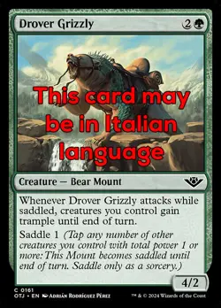 MTG DROVER GRIZZLY FOIL EXC - GRIZZLY MANDRIANO 161 - OTJ - MAGIC - Image 1