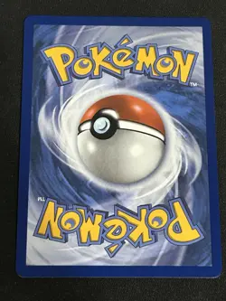 Gumshoos 153/132 IR MEG ME01: Mega Evolution Pokemon TCG Illustration Rare - Image 2