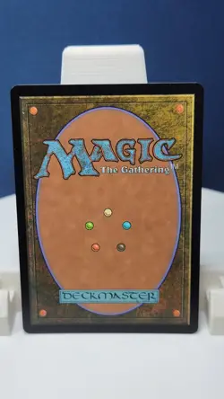 MTG English Choco, Seeker of Paradise (Borderless) (Chocobo Track Foil) NM Foil - Image 4