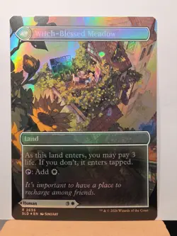 Witch Enchanter / Witch-Blessed Meadow 2655 Foil Secret Lair Witch's Familiar - Image 2