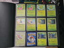 Pokemon TCG, Paldea Evolved Base Master Set, Complete + Binder - Image 1