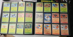 Pokemon TCG, Paldea Evolved Base Master Set, Complete + Binder - Image 3