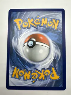 Tepig 13/25 - McDonald's Collection 2021 - Promo Unlimited Pokemon Card - NM - Image 2