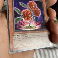 1x Revival Rose - TSHD-EN016 - Rare - 1st Edition YuGiOh TCG Card - Image 4
