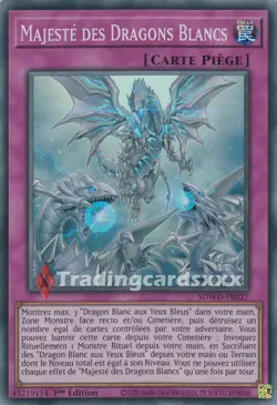 Yu-Gi-Oh! Majeste des Dragons Blancs : SR SDWD-FR027 - Image 1