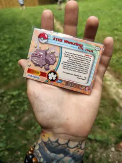 Topps TV Animation Edition Weezing #110 Rainbow Holo Pokemon Card English - Image 4