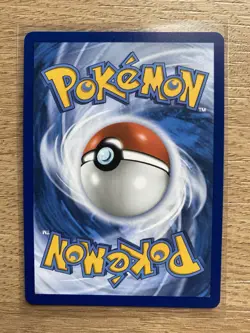 Pokemon TCG: First Partner Illustration Collection Series 2 Galar Gen 8 Set Of 3 - Image 5
