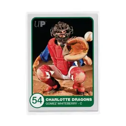 Ultra Pro Card Sleeves Premium Card Sleeves (100 Packs of 100) New - Image 2