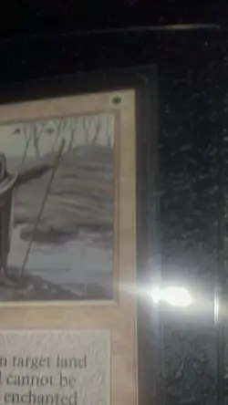 Beta Consecrate Land MTG MP Magic: The Gathering Free Ship - Image 3