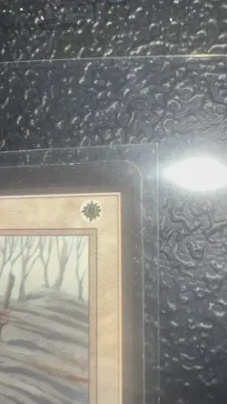 Beta Consecrate Land MTG MP Magic: The Gathering Free Ship - Image 4