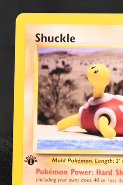 Shuckle 1st Edition 51/64 NM Neo Revelation Regular Common Pokemon TCG Card - Image 2
