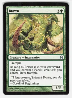 BRAWN - Magic: The Gathering - CAVOTTA MP - Image 1