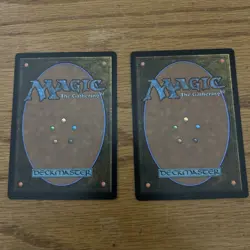 Magic: The Gathering TMNT Bebop And Rocksteady Two Card Lot ￼ - Image 4