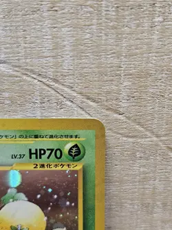 Jumpluff #189 Japanese Holo Rare Pokemon Card TCG - Image 4