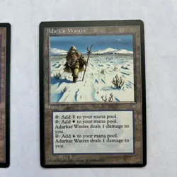 Adarkar Wastes - Ice Age - Land - MTG Cards - Image 5