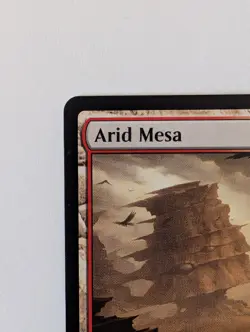 Magic the Gathering Arid Mesa (244) - Normal - Modern Horizons 2 (MH2) Near Mint - Image 4