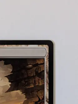 Magic the Gathering Arid Mesa (244) - Normal - Modern Horizons 2 (MH2) Near Mint - Image 5