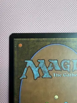 MTG Yavimaya Coast - Apocalypse #143/143 - LP - Image 5