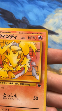 Arcanine No. 059 32 Intro Pack Squirtle Deck Japanese Pokemon Card 1999 #3262 - Image 2