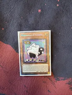 Yugioh! Marshmao☆Yummy DOOM-EN024 STARLIGHT RARE Doom of Dimensions PREORDER - Image 3