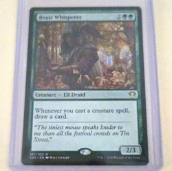 Wizards of the Coast Beast Whisperer 167/322 Green Rare EN - Image 1