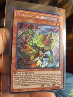 Yugioh! Predaplant Chlamydosundew Fuen-EN005 Secret Rare 1st Ed NM Yu-Gi-Oh! - Image 1