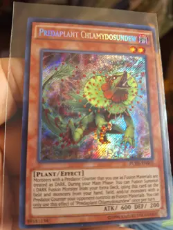 Yugioh! Predaplant Chlamydosundew Fuen-EN005 Secret Rare 1st Ed NM Yu-Gi-Oh! - Image 3