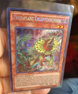 Yugioh! Predaplant Chlamydosundew Fuen-EN005 Secret Rare 1st Ed NM Yu-Gi-Oh! - Image 4