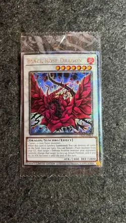 TN23-EN014 Black Rose Dragon Quarter Century Secret Rare Sealed Limited YuGiOh - Image 1