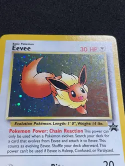 🌀SWIRL🌀Eevee Holo Pokemon Black Star Promo #11 WOTC 1999-2000 - Image 2