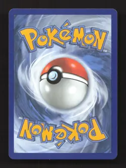 Turtwig 040 Holo Promo ME: Mega Evolution Promo Pokemon Near Mint - Image 2
